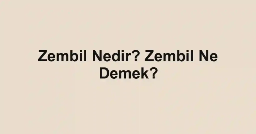 Zembil Nedir? Zembil Ne Demek?