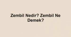 Zembil Nedir? Zembil Ne Demek?