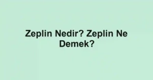 Zeplin Nedir? Zeplin Ne Demek?