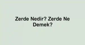 Zerde Nedir? Zerde Ne Demek?