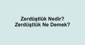 Zerdüştlük Nedir? Zerdüştlük Ne Demek?