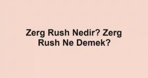 Zerg Rush Nedir? Zerg Rush Ne Demek?