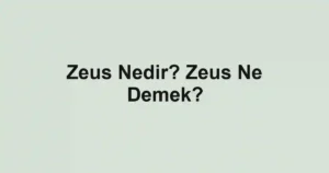 Zeus Nedir? Zeus Ne Demek?