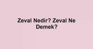 Zeval Nedir? Zeval Ne Demek?