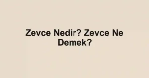 Zevce Nedir? Zevce Ne Demek?