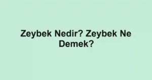Zeybek Nedir? Zeybek Ne Demek?