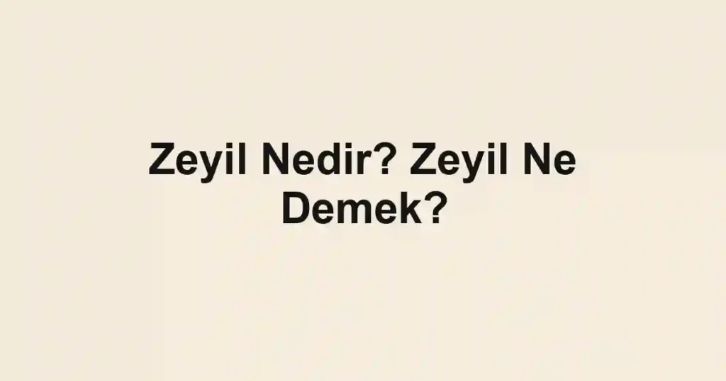 Zeyil Nedir? Zeyil Ne Demek?