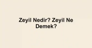 Zeyil Nedir? Zeyil Ne Demek?