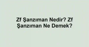 Zf Şanzıman Nedir? Zf Şanzıman Ne Demek?