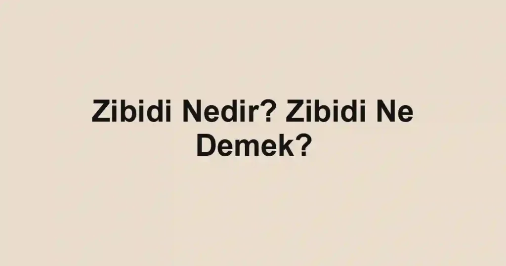 Zibidi Nedir? Zibidi Ne Demek?