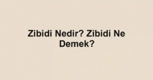 Zibidi Nedir? Zibidi Ne Demek?