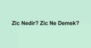 Zic Nedir? Zic Ne Demek?