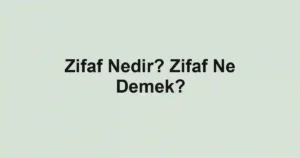 Zifaf Nedir? Zifaf Ne Demek?