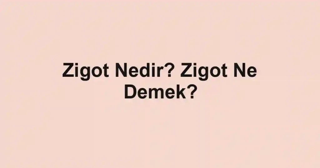 Zigot Nedir? Zigot Ne Demek?