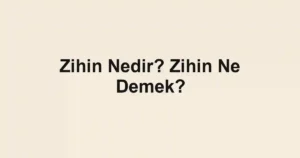 Zihin Nedir? Zihin Ne Demek?