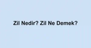 Zil Nedir? Zil Ne Demek?