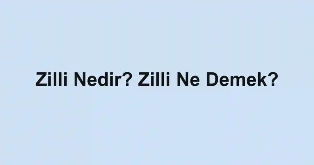 Zilli Nedir? Zilli Ne Demek?
