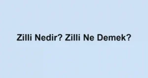 Zilli Nedir? Zilli Ne Demek?