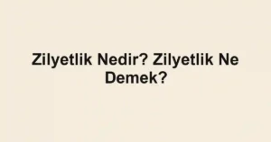 Zilyetlik Nedir? Zilyetlik Ne Demek?