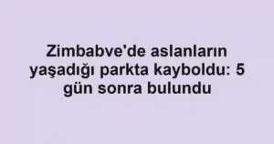 Zimbabve'de aslanların yaşadığı parkta kayboldu: 5 gün sonra bulundu