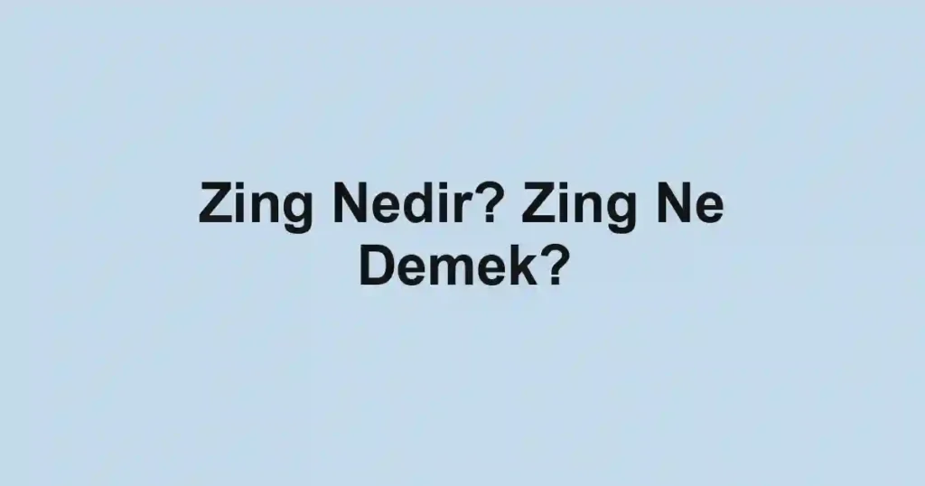 Zing Nedir? Zing Ne Demek?