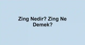 Zing Nedir? Zing Ne Demek?