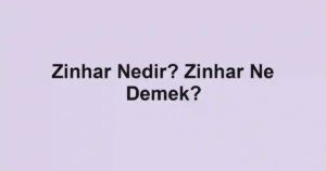 Zinhar Nedir? Zinhar Ne Demek?