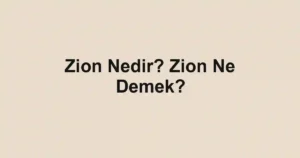 Zion Nedir? Zion Ne Demek?