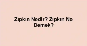 Zıpkın Nedir? Zıpkın Ne Demek?