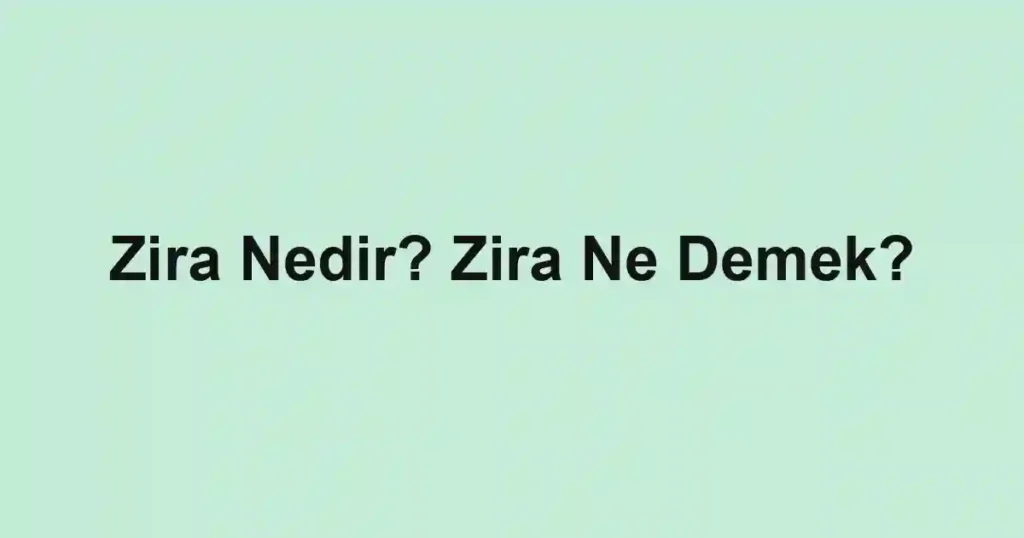 Zira Nedir? Zira Ne Demek?