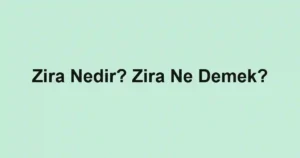 Zira Nedir? Zira Ne Demek?