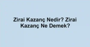 Zirai Kazanç Nedir? Zirai Kazanç Ne Demek?