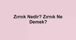 Zırnık Nedir? Zırnık Ne Demek?