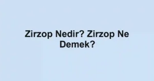 Zirzop Nedir? Zirzop Ne Demek?
