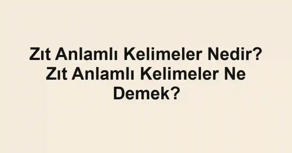Zıt Anlamlı Kelimeler Nedir? Zıt Anlamlı Kelimeler Ne Demek?