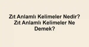 Zıt Anlamlı Kelimeler Nedir? Zıt Anlamlı Kelimeler Ne Demek?