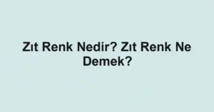 Zıt Renk Nedir? Zıt Renk Ne Demek?