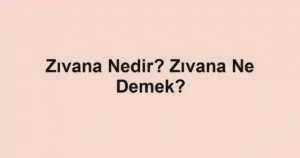 Zıvana Nedir? Zıvana Ne Demek?