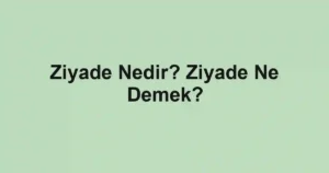 Ziyade Nedir? Ziyade Ne Demek?
