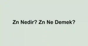 Zn Nedir? Zn Ne Demek?