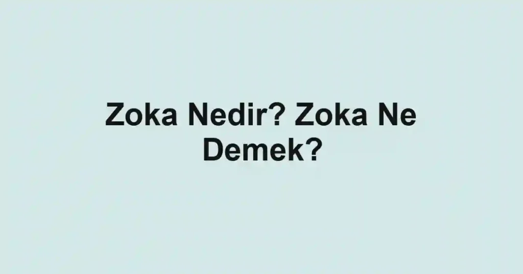 Zoka Nedir? Zoka Ne Demek?