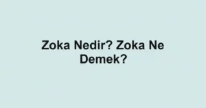 Zoka Nedir? Zoka Ne Demek?