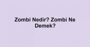 Zombi Nedir? Zombi Ne Demek?