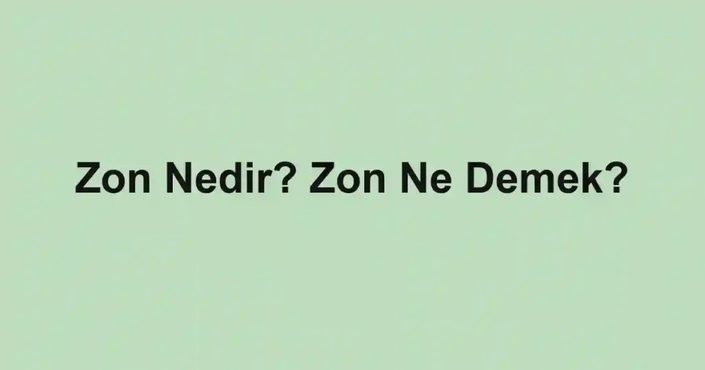 Zon Nedir? Zon Ne Demek?