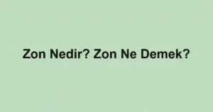 Zon Nedir? Zon Ne Demek?