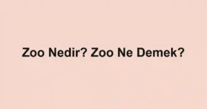 Zoo Nedir? Zoo Ne Demek?