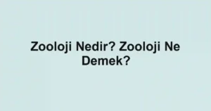Zooloji Nedir? Zooloji Ne Demek?