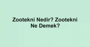 Zootekni Nedir? Zootekni Ne Demek?