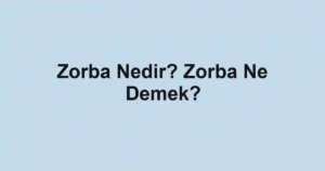 Zorba Nedir? Zorba Ne Demek?