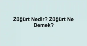 Züğürt Nedir? Züğürt Ne Demek?